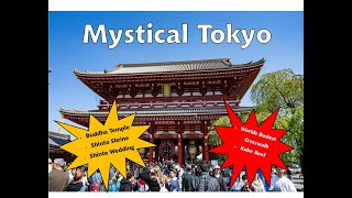 Discover The Magical Wonders Of Tokyo - The Ultimate World Cruise