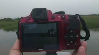 Memotret Pesawat Terbang dengan prosumer Nikon Coolpix P510