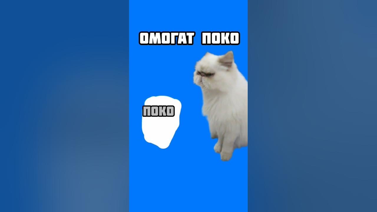 омогат поко - YouTube