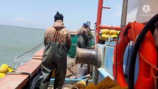 Trabalhador Timor oan servisu iha korea do sul