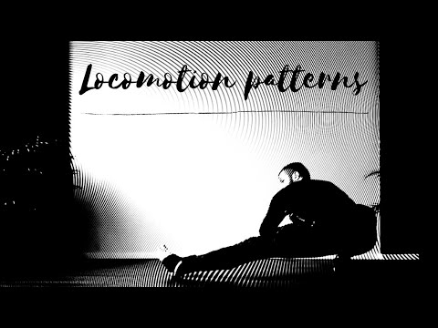 Basic Movement Patterns
