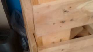 pest control rak wood pallets - تعقيم و وقاية الأخشاب ضد الحشرات