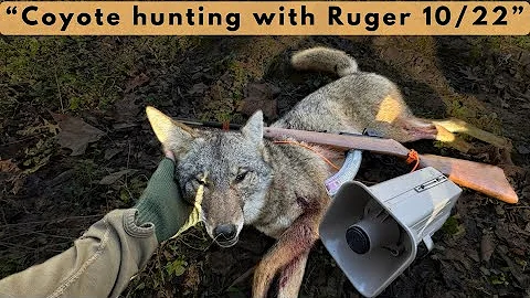 Pup Distress is KILLER RIGHT NOW - (Hunting Coyotes W/ .22 LONG RIFLE)