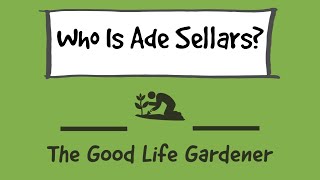 Who Is Ade Sellars?