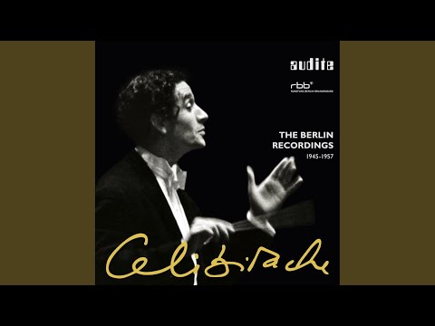 'In modo populari'. Suite No. 3, Op. 43: V. Allegretto - Pochettino Meno mosso - Tempo primo