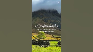وَيْلٌ لِّكُلِّ أَفّاكٍ أَثيمٍ () يَسْمَعُ آياتِ اللَّهِ تُتْلَىٰ عَلَيْهِ ثُمَّ يُصِرُّ - الجاثية 8