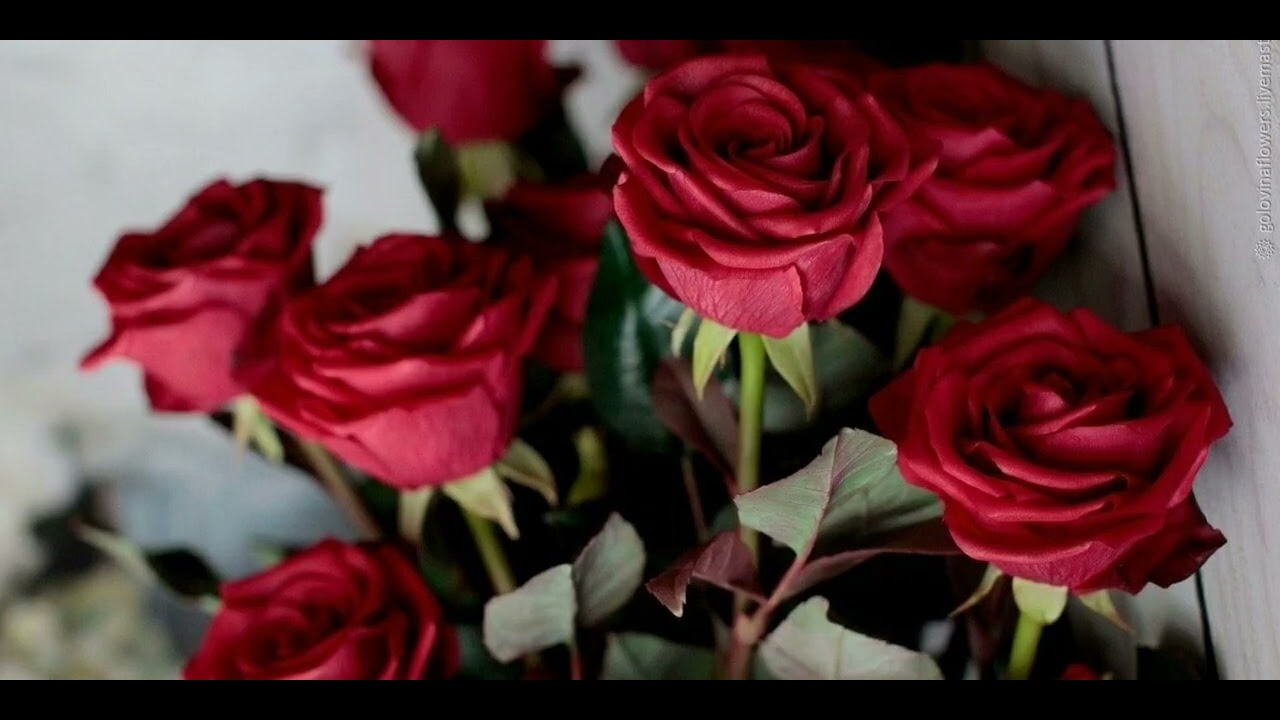 قوة قول اعوذ بالله من الشيطان الرجيم، اطفي اي عصبية ومشكلة في حياتك    