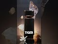 WHERE TO BUY AUTHENTIC PERFUMES IN INDIA | PART 6