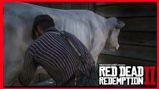 [Red Dead Redemption 2 Épilogue]Le travaille commence! Traite des vaches et ramassage du fumier! screenshot 1