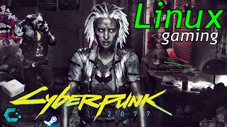 @roninkaze | #442 | Cyberpunk 2077 and Linux | Linux
