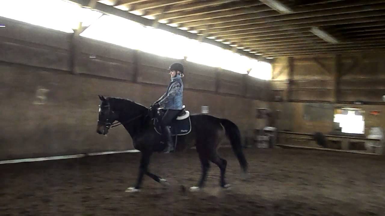 Canter without stirrups, using inside seat bone for canter depart