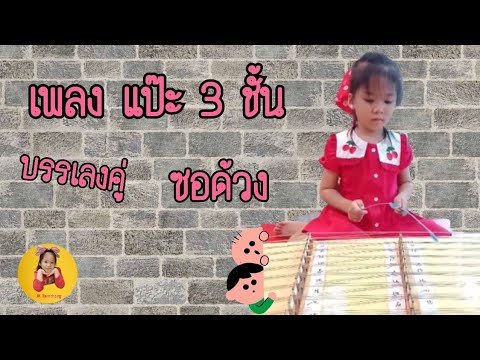 เพลงแป๊ะ 3 ชั้น  บรรเลงคู่กับซอด้วง #JKtarnthong #5y #เด็กรักษ์ขิม