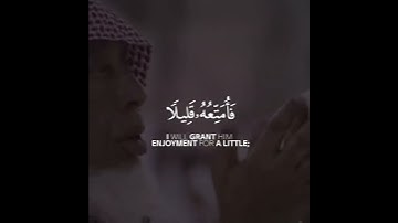 سورة البقرة | القارئ ياسر الدوسري