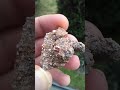 Kamień 60 / Zgadnij co to :) #minerals #minerały #kryształy #stones #rockhounding #rock #crystals