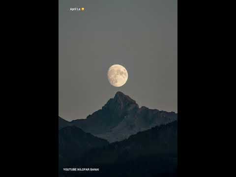 اشعار فروغ فرخزاد من از نهایت شب حرف میزنم FOROUGH FARROKHZAD Persian Poetry