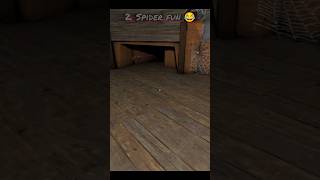 What To Do With Clip Mod