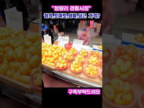 "청량리경동시장" 참외,토마토,양파,당근 가격은?