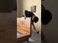 Watch This Beautiful Solid Wood Bed Build Itself in 3 Minutes