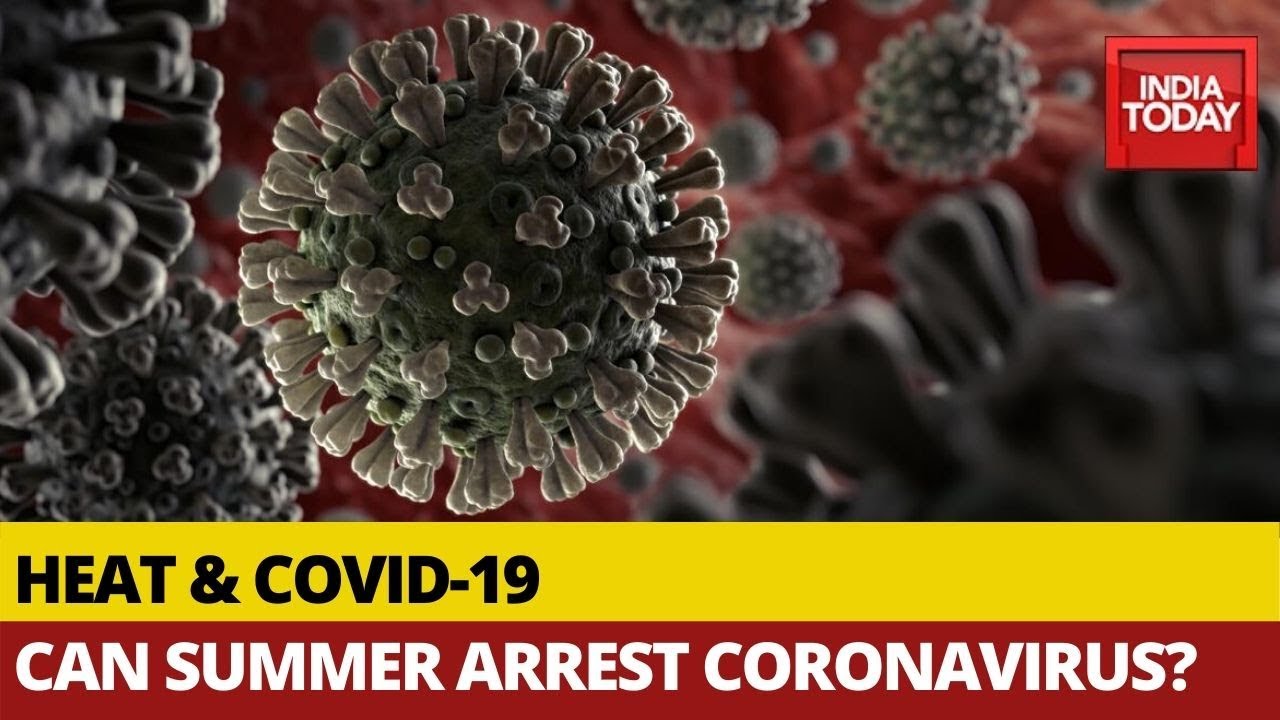 Indian Summers An Answer To Coronavirus? | To The Point Indian Summers An Answer To Coronavirus? | To The Point