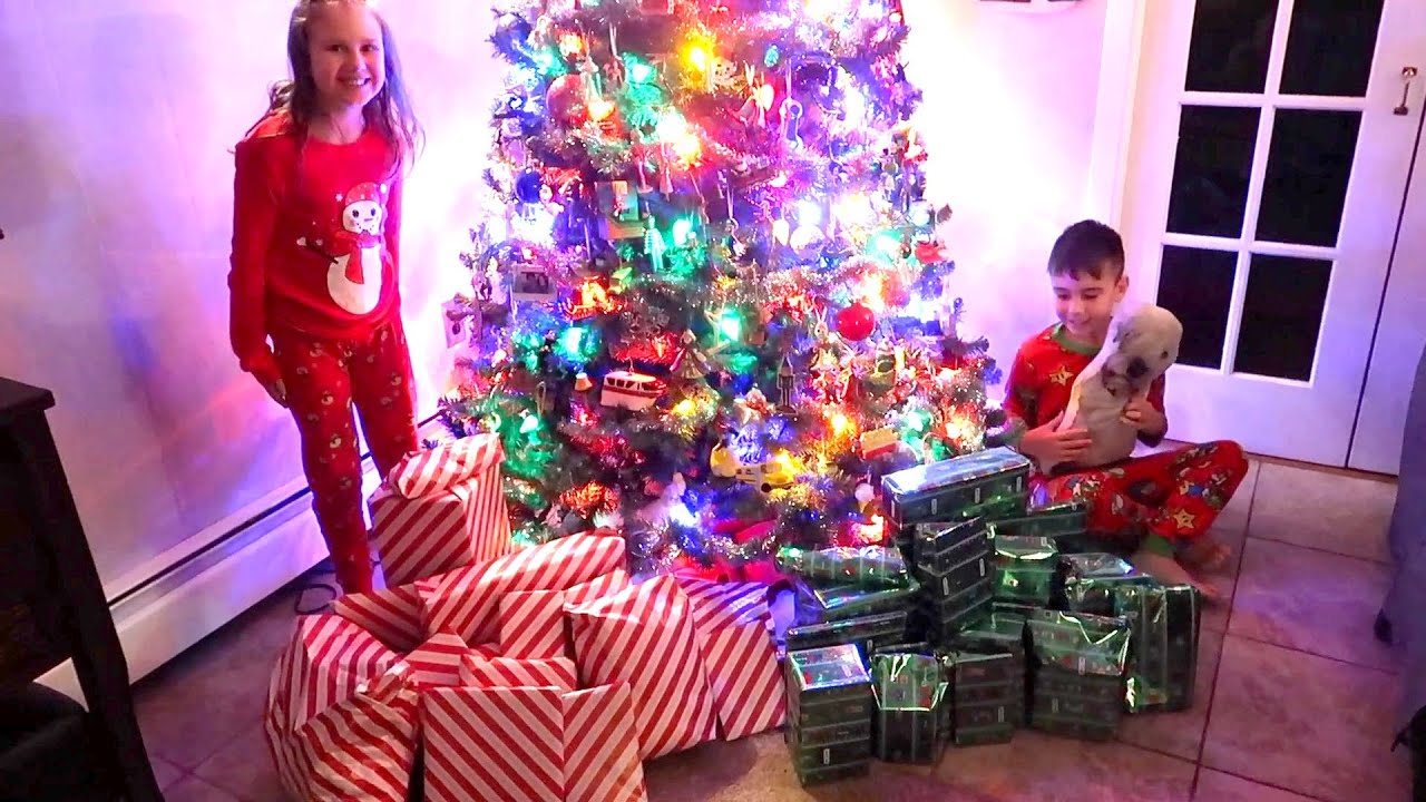 Sage & Poppy's Christmas Morning 2024