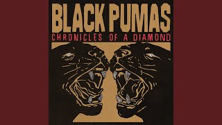 More Than a Love Song - Black Pumas
