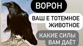 : -   #     #