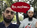 КОГО КРИТИКОВАТЬ? КРЕМЛЬ ИЛИ КАДЫРОВА?