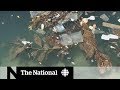 Cleaning up the Great Pacific Garbage Patch | Dispatch