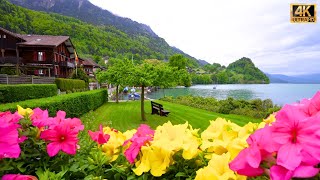 🦋🏡 Iseltwald Switzerland - The Most Trending Swiss Village on a Beautiful Day 🏵️🌸 | #swiss