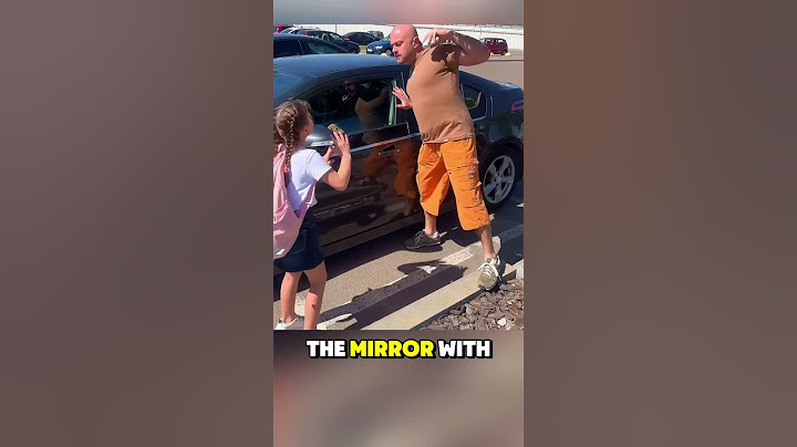 Little Girl’s Quick Thinking Saves Puppy Trapped in Hot Car! #shorts