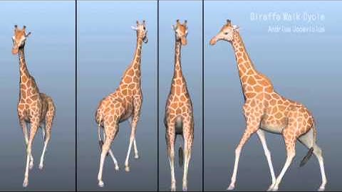 Giraffe Walk Cycle