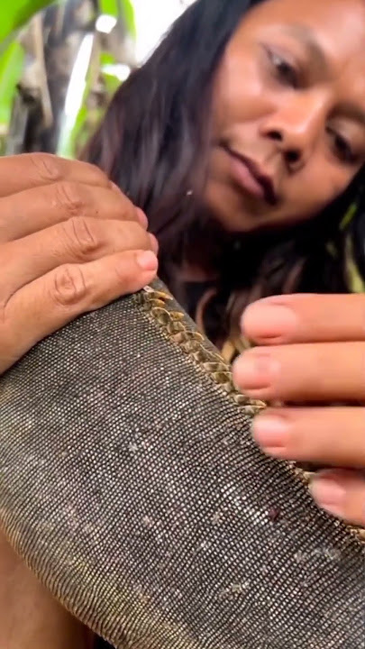 Dede inoen jadi biawak #shorts #youtubeshorts #dedeinoen