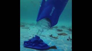 Asmr Cleaning Pool Leaf Handheld Pool Vacuums Pool Sky