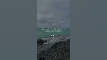 سورة الأنعام | منير -رحمه الله-