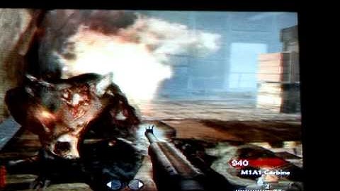 Cod 5 shi no numa dog glitch