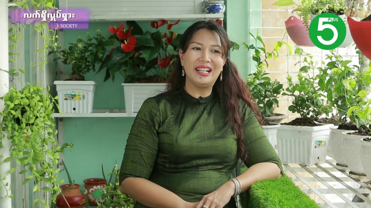 လက္ရွိလႈပ္ရွား (Gardening Myanmar)