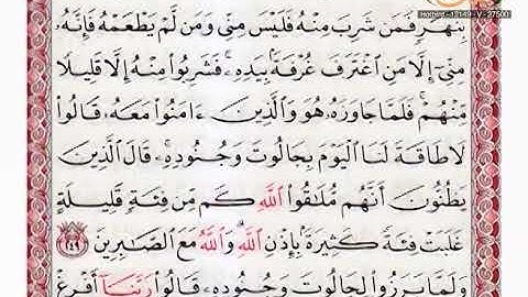 القارئ مازن الخالدي ـ ترتيل صفحة 41