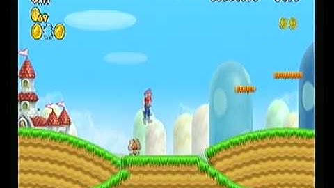 New Super Mario Bros Wii Hack