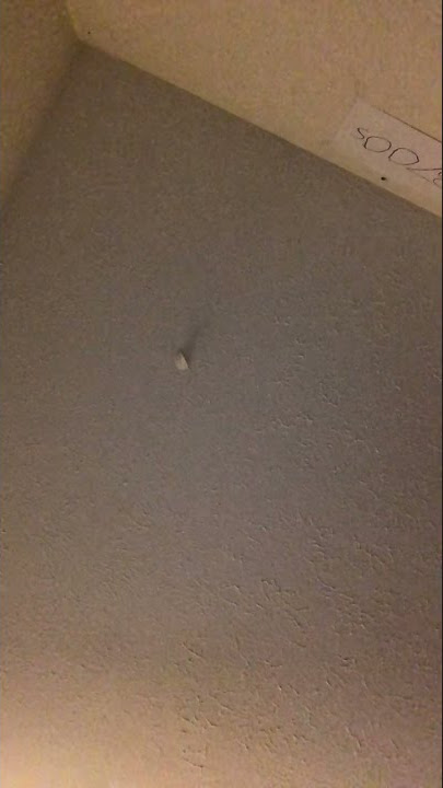 Balloon episode #3735