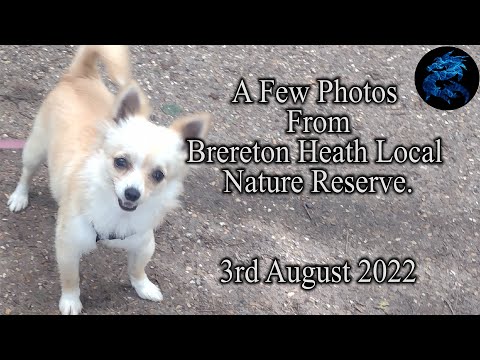 Photos from Brereton Heath Local Nature Reserve - 3rd August 2022