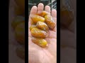 تمر دقلة نور الجزائرية أحد أجود أنواع التمور في العالم اللهم زد وبارك تمر دقلة نور الجزائرية أحد أجود أنواع التمور في العالم اللهم زد وبارك