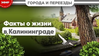 Факты О Жизни В Калининграде