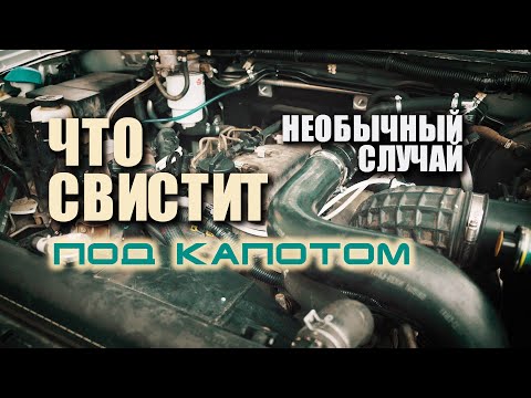 🔸 Что свистит под капотом. Подшипник или обгонная муфта? Не факт!