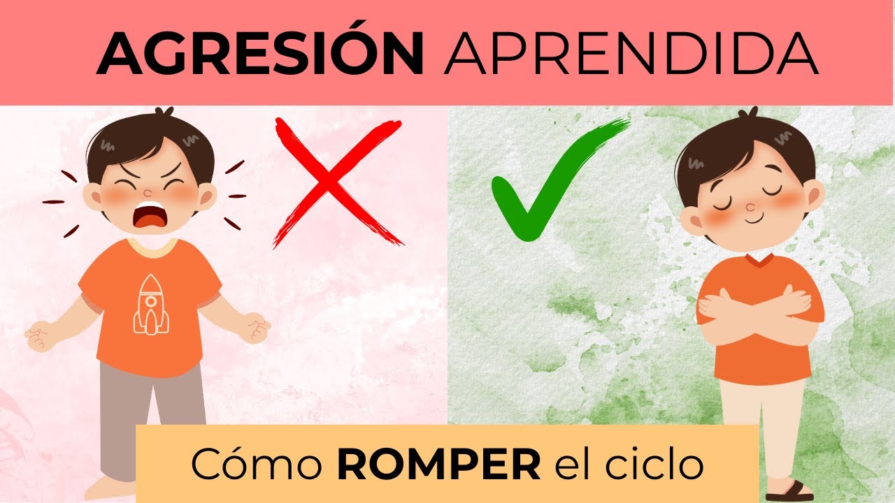 ¿Se nace siendo AGRESIVO? Cómo los padres enseñamos la agresividad sin percatarnos