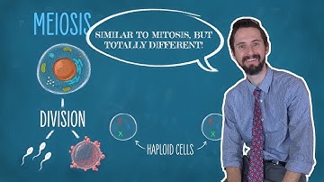 Clint Explains Meiosis - Just Like Mitosis (Except Completely Different)