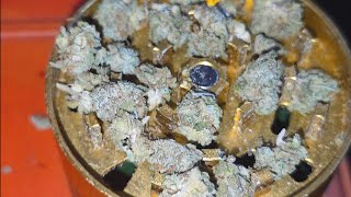 Bashful farms Bag-Zabi tenco bag seed wazabi rsosos grandaddydanks 