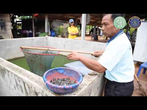 สื่อวิดีทัศน์..คลิก