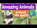 Amazing Animals Around the World for Kids