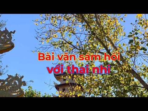 Video Sám hối cho các vong thai nhi. - youtube