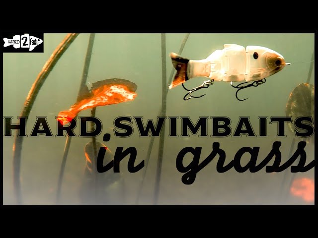 Hard SWIMBAIT TRICKS for Bass Fishing around Grass (BULL SHAD) 